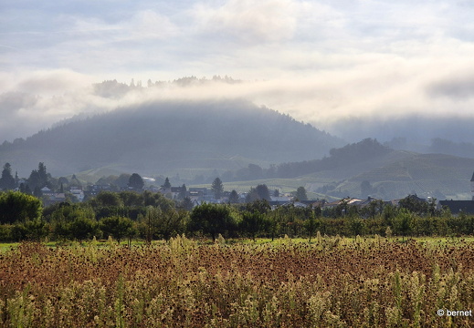 24-08-31-ortenberg-nebel-009