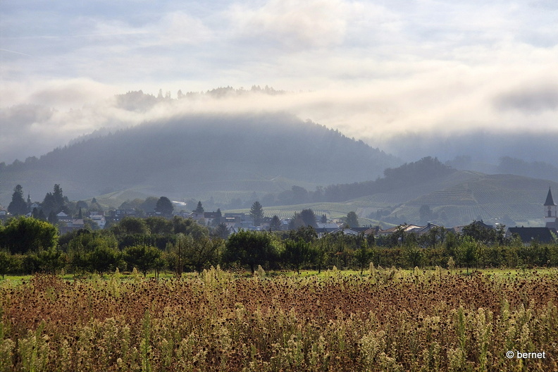 24-08-31-ortenberg-nebel-009.jpg