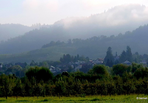24-08-31-ortenberg-nebel-012