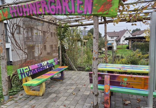 24-11-10-ortenberg-huehnergarten-002