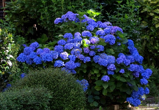 24-07-08-oberkirch-016