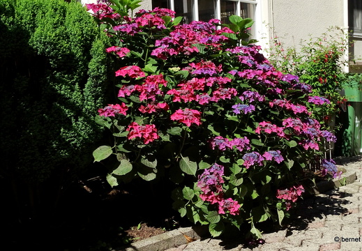 24-07-08-oberkirch-018