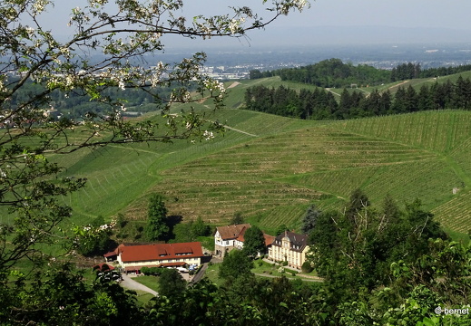 24-05-10-durbach-045