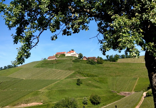 24-05-10-durbach-096