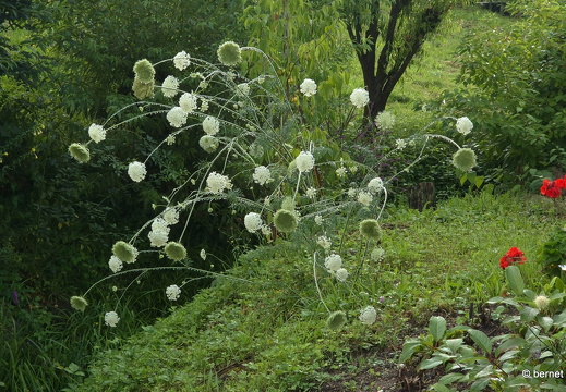 24-07-28-fessenbach-