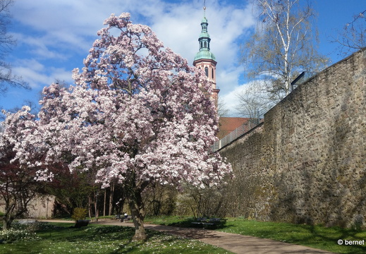 24-03-23-innenstadt-fruehling-