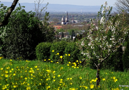 24-04-06-felix-burda-gedenkstaette-003