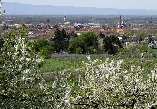 24-04-06-felix-burda-gedenkstaette-013