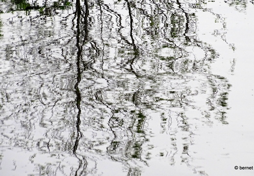 24-04-07-am grossendeich-spiegelung-005