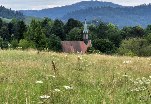24-07-23-lindenhoerhe-002
