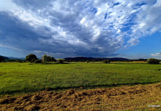 24-08-13-am grossendeich-006