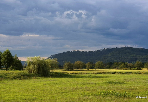 24-08-13-am grossendeich-008