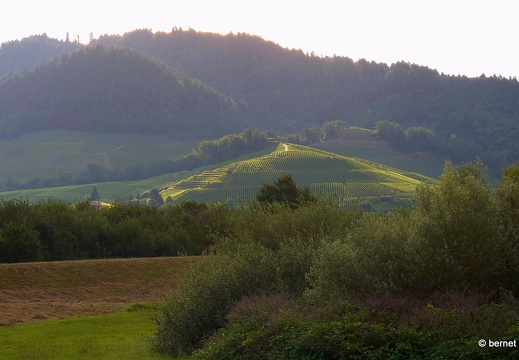 24-08-13-am grossendeich-009