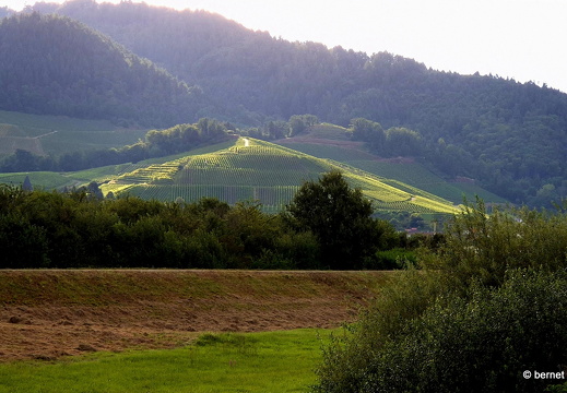 24-08-13-am grossendeich-010