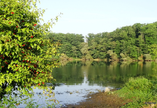 24-09-01-burgerwaldsee-023