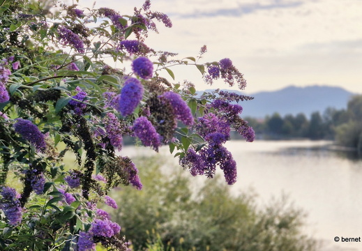 24-09-03-koenigswaldsee-015