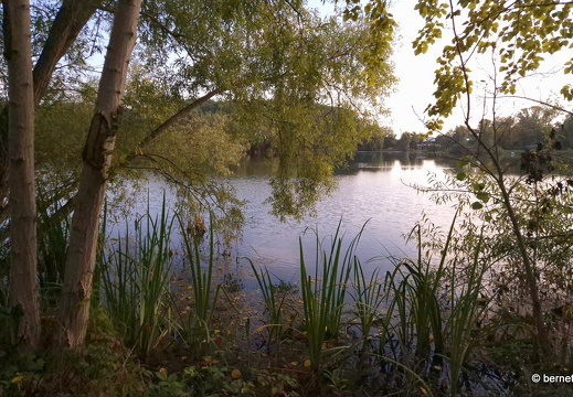 24-09-03-koenigswaldsee-022