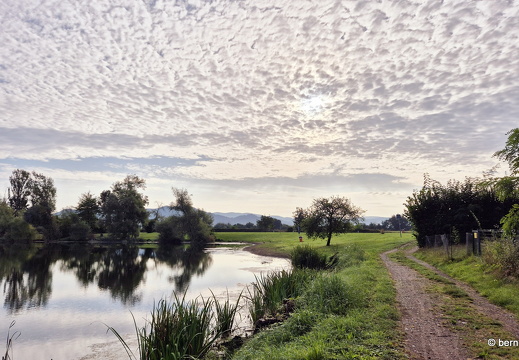 24-09-03-koenigswaldsee-025