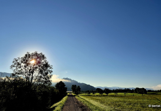 24-09-07-am grossendeich-013