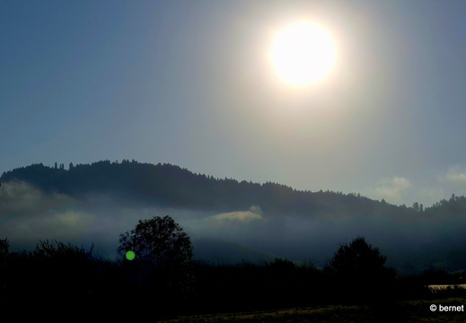 24-09-07-am grossendeich-020