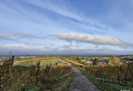 24-10-20-fessenbach-hohes horn-024