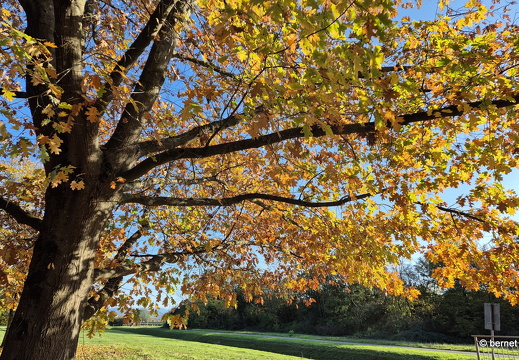 24-11-03-am gifizsee-