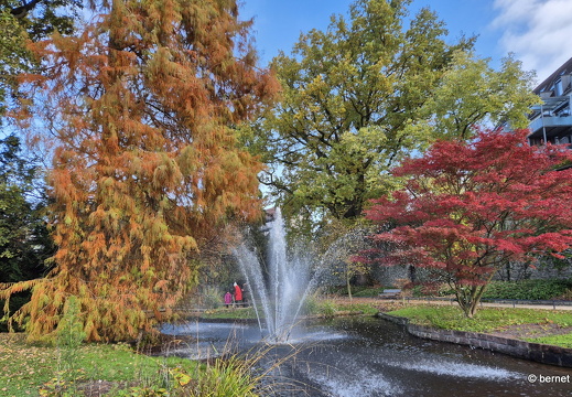 24-11-03-zwinger-springbrunnen-herbstfarben