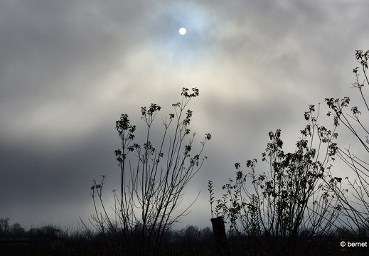 24-11-29-teichstrasse-001