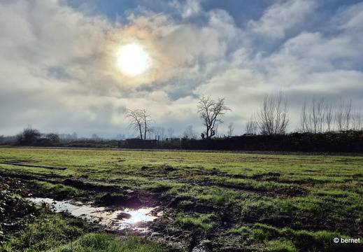 24-11-29-teichstrasse-003