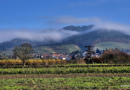 24-12-01-teichstrasse-hochnebel-001