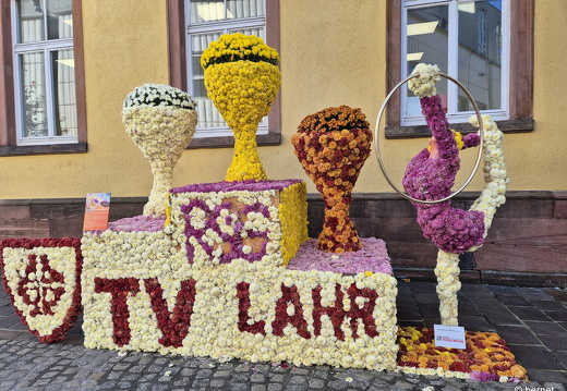 24-10-29-lahr-chrysanthema-092