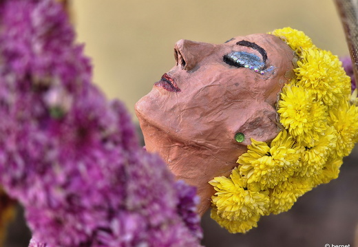 24-10-29-lahr-chrysanthema-096
