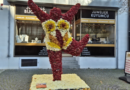 24-10-29-lahr-chrysanthema-142