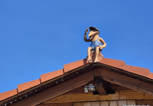 25-04-12-fessenbach-werresvogel-