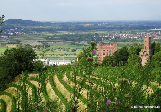 23-08-12-schlossortenberg-aussicht-023