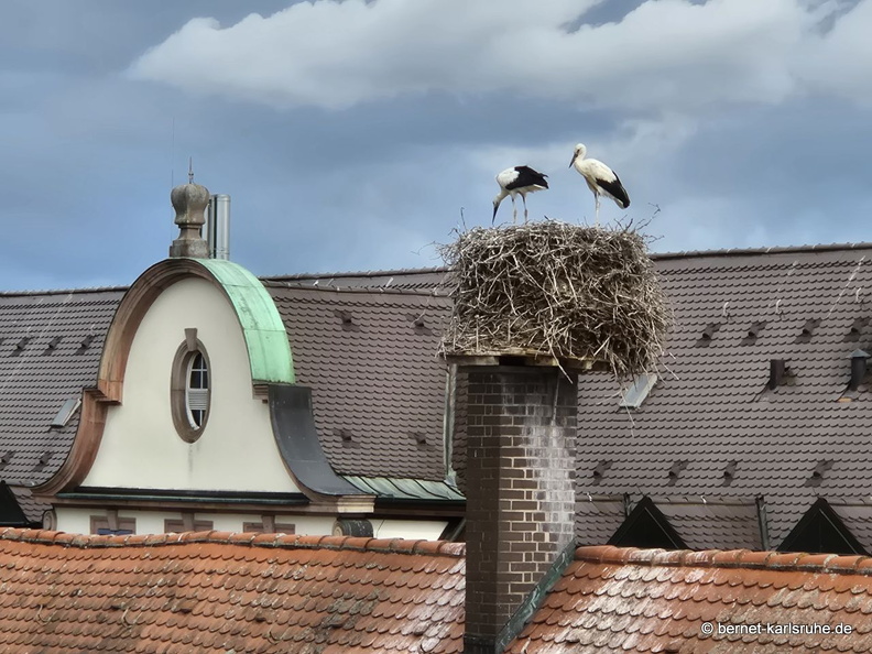 25-06-27-am marktplatz-storchennest-001.jpg