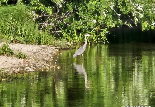 25-06-22-gifiz-see-005