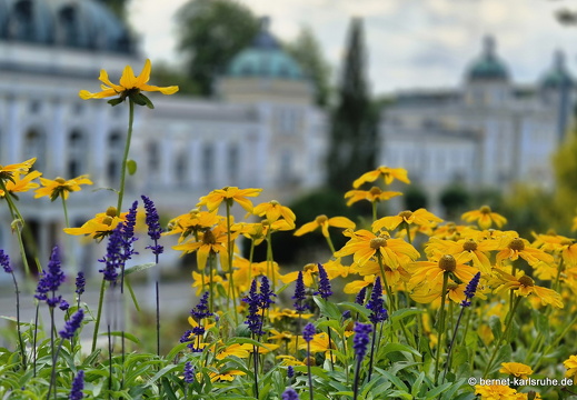 24-09-17-marienbad-park-019