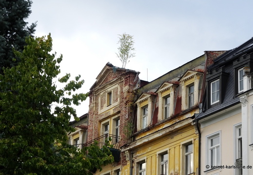 24-09-17-marienbad-park-117