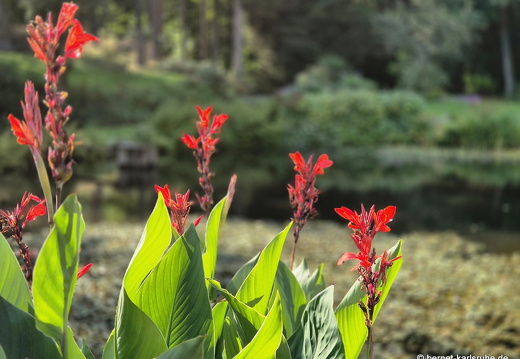 24-09-19-mb-lunapark-002