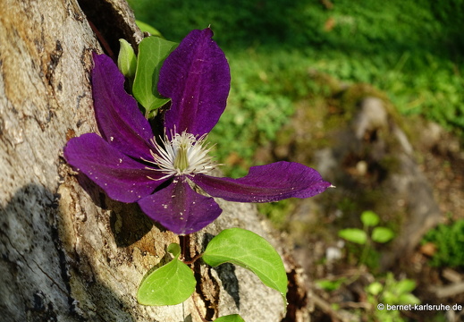 24-09-19-mb-lunapark-024