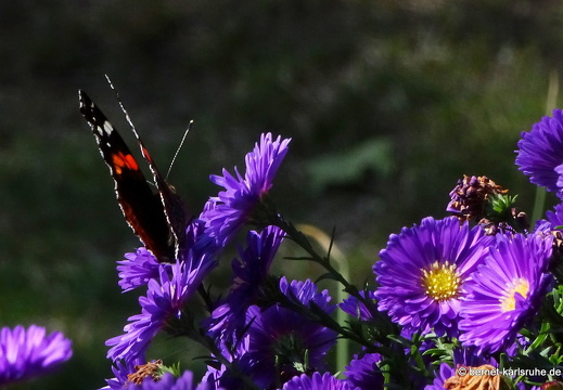 24-09-21-lunapark-006