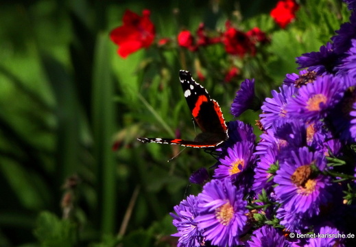 24-09-21-lunapark-012