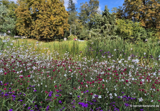 24-09-22-mb-kurpark-008