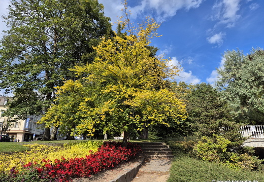 24-09-22-mb-kurpark-011