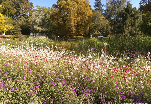 24-09-23-mb-kurpark-001