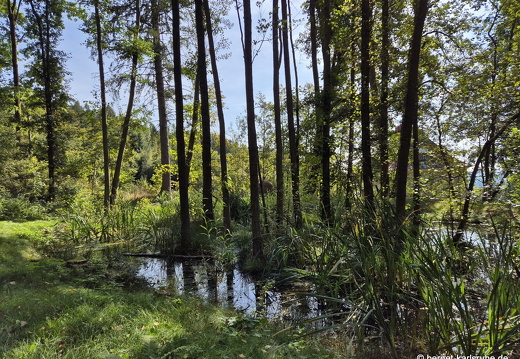 24-09-23-mb-panoramastrasse-016