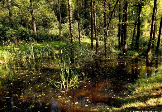 24-09-23-mb-panoramastrasse-027