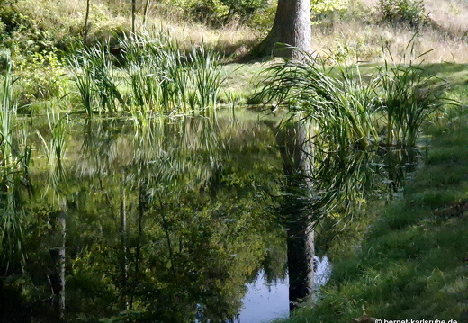 24-09-23-mb-panoramastrasse-030