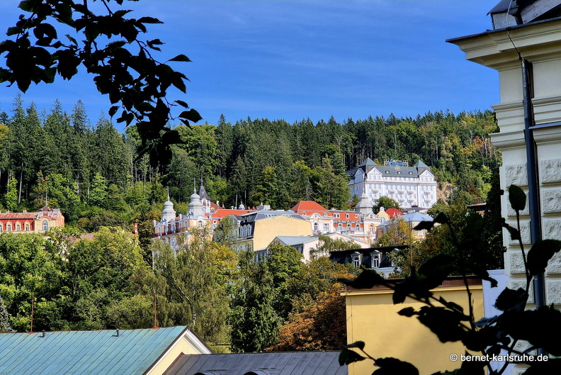 24-09-23-mb-waldweg zu hamelika-002.jpg